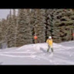 Meet your Posher, Wendy